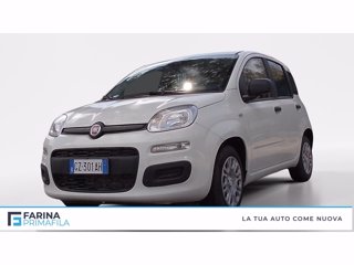 FIAT Panda 1.0 firefly hybrid s&s 70cv