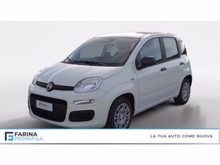 FIAT Panda 1.0 firefly hybrid s&s 70cv