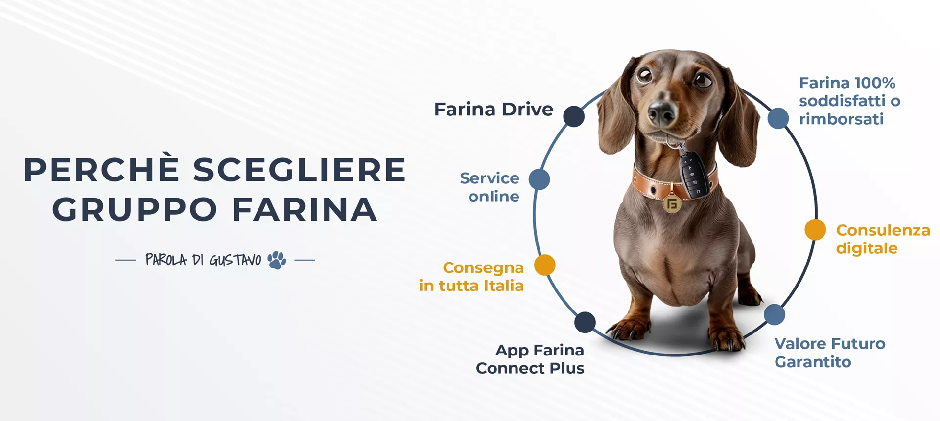 Perché scegliere gruppo farina