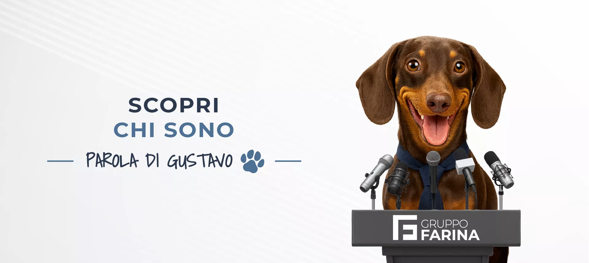 Chi sono